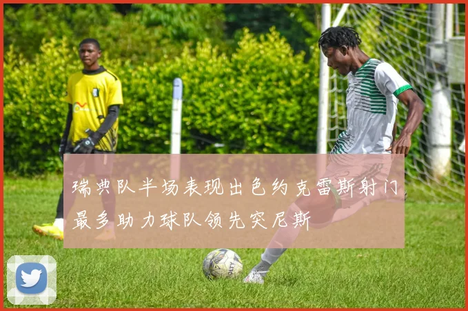 瑞典队半场表现出色约克雷斯射门最多助力球队领先突尼斯