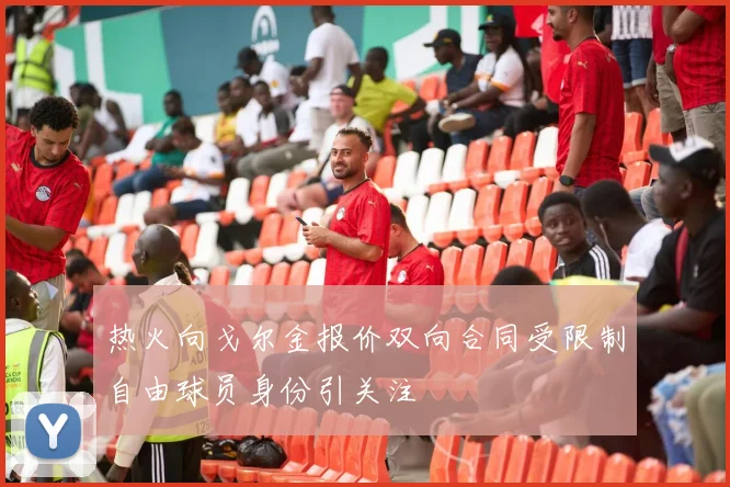 热火向戈尔金报价双向合同受限制自由球员身份引关注