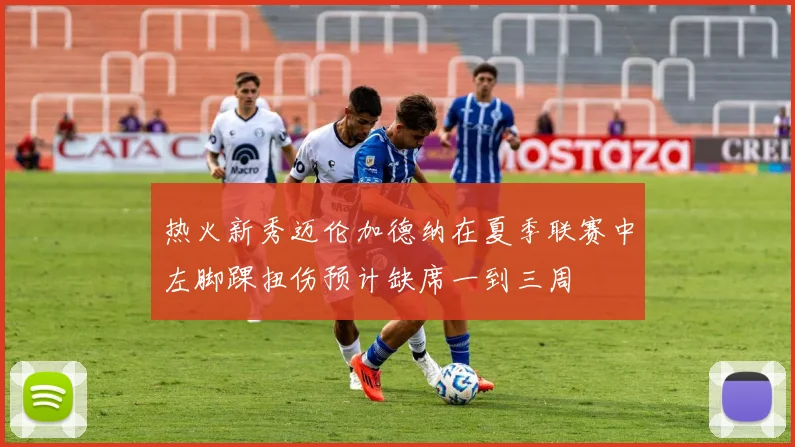 热火新秀迈伦加德纳在夏季联赛中左脚踝扭伤预计缺席一到三周